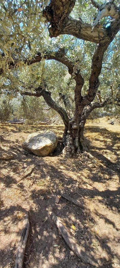 The Byzantine Wall House Isthmia Esterno foto